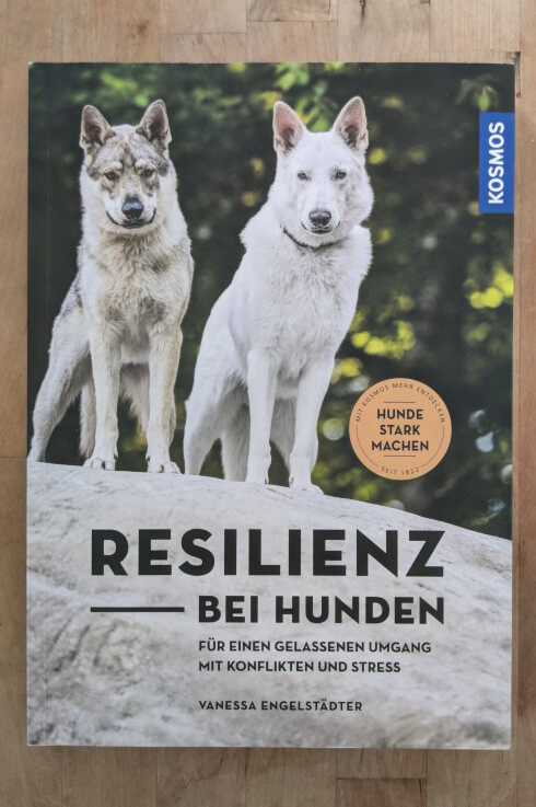 Gelassenheit bei Hunden trainieren
